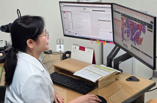 연구분야이미지