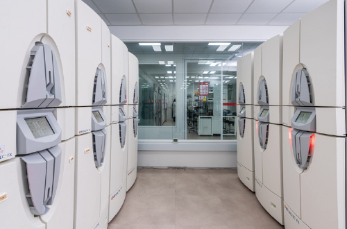 연구분야이미지